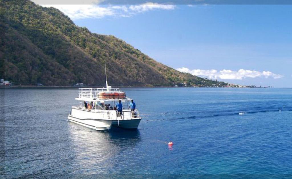 Castle Comfort Lodge Roseau Dış mekan fotoğraf