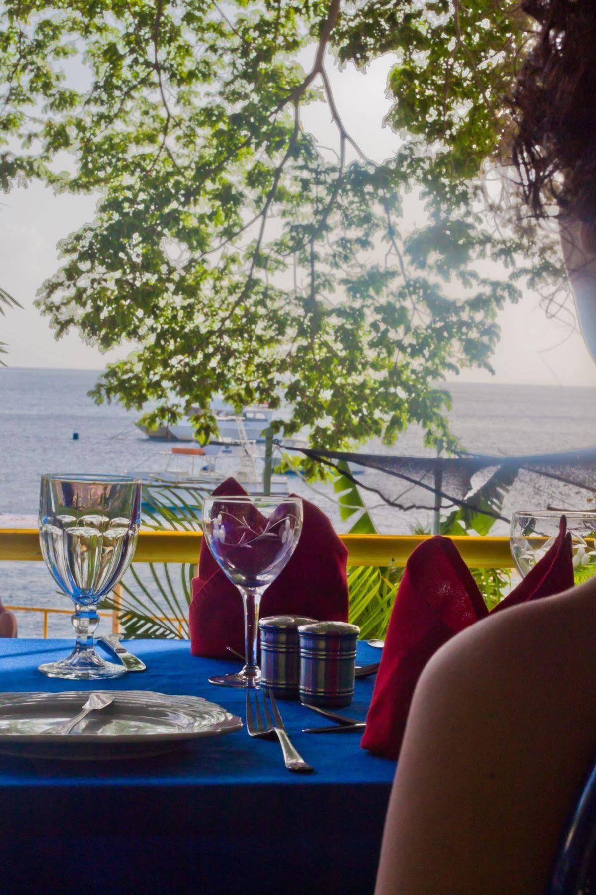 Castle Comfort Lodge Roseau Dış mekan fotoğraf